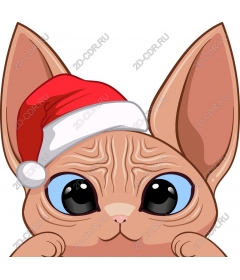  Cute Christmas cat in Santa hat