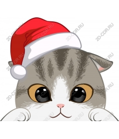  Festive kitty in a Santa hat