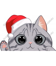 Праздничный котенок в шапке Санты