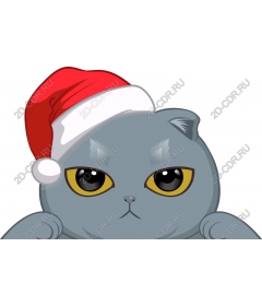 Рождественский кот