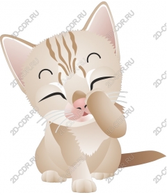  Charming cat