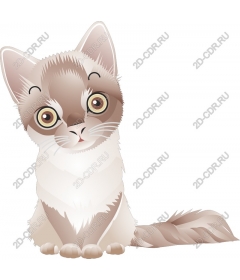  Fluffy cat
