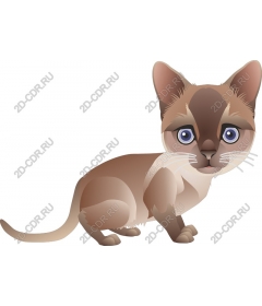  Charming cat