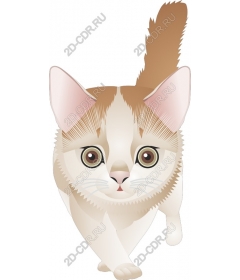  Charming cat