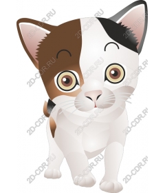  Adorable cartoon cat