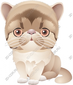  Adorable cartoon cat