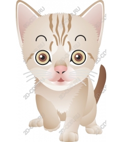  Charming kitten