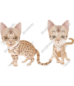 Bengal kittens