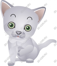  Charming grey kitten
