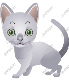  Charming silver cat