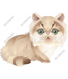  Charming Persian cat