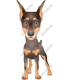  Charming dog