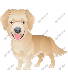  Adorable Golden Retriever