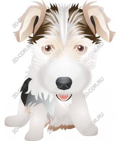  Charming dog