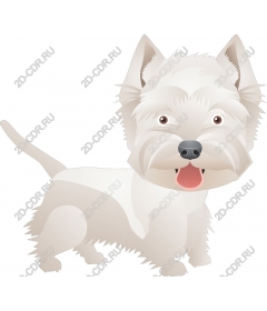 Charming West highland white Terrier