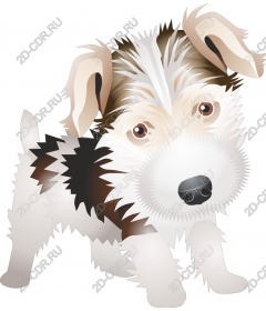  Sweet playful dog
