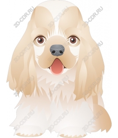  Adorable Cocker Spaniel