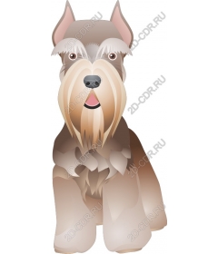  Charming Schnauzer