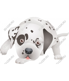 Playful puppy