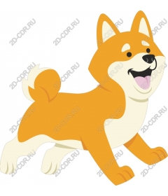 Playful Shiba inu