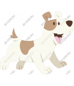 Playful dog