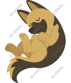  Cozy sleeping dog