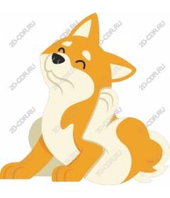  Adorable Corgi