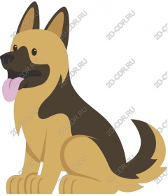  German shepherd
