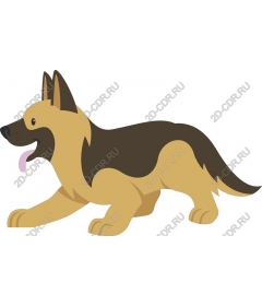 Playful German shepherd
