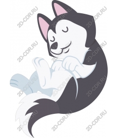  Cute relaxed husky