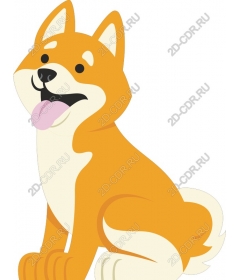  Adorable Shiba inu