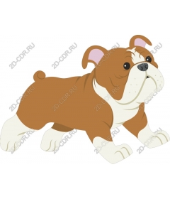 Adorable bulldog