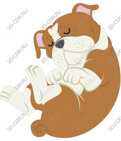  Sleepy puppy