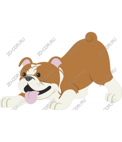 Playful bulldog