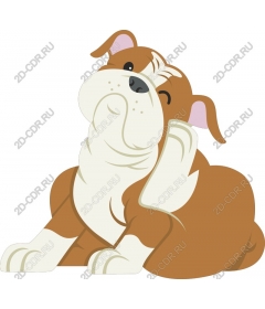  Adorable bulldog