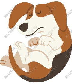  Relaxed dog-Curling