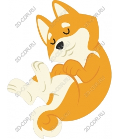 Sleeping Shiba inu