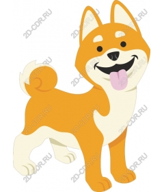 Funny Shiba inu