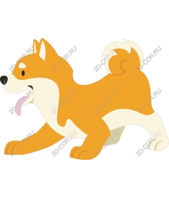  Adorable Shiba inu