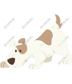 Playful dog