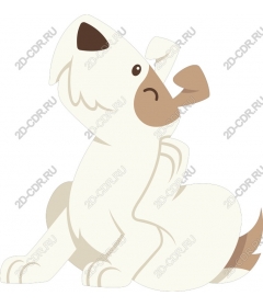  Charming dog