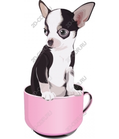  Adorable Chihuahua in a pink Cup