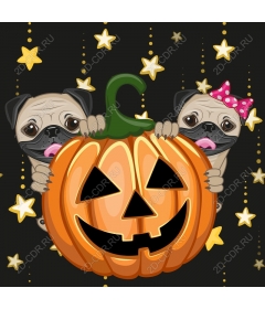  A festive Halloween with pugs and pumpkins