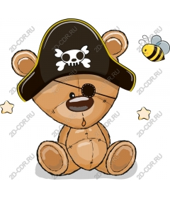  Pirate Teddy bear