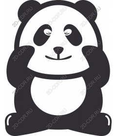  Adorable Panda