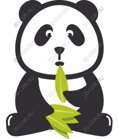  Cartoon Panda