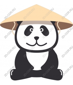  Panda in a conical hat