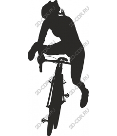 Dynamic cyclist