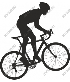  Dynamic cyclist