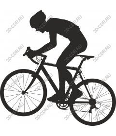 Dynamic cyclist